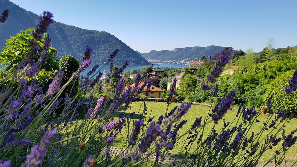 La Finestra Sul Lago เชอร์นอบบิโอ ภายนอก รูปภาพ